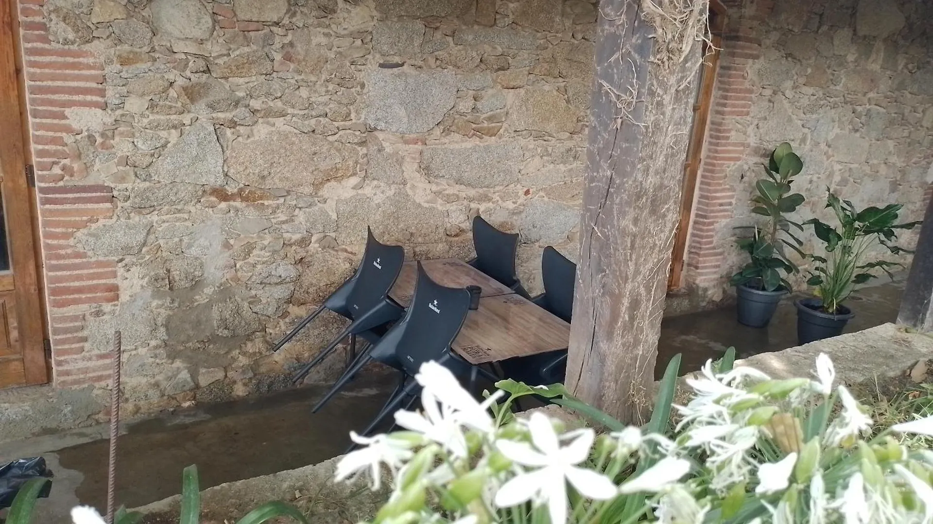 Casa Turistica Platja D'Aro 2 Apartment Romanya de la Selva